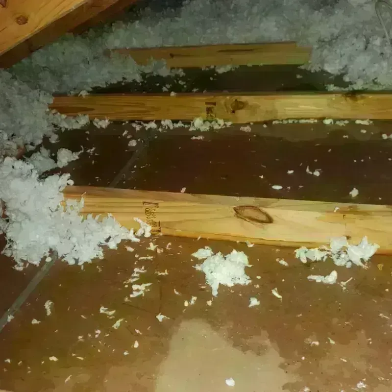 Attic Water Damage in Prescott, AR